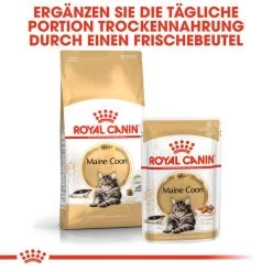 Royal Canin Maine Coon Adult Wet - Katzenfutter 11 Royal Canin Maine Coon Adult Wet - Katzenfutter -Haustierprodukte royal canin maine coon adult wet kattenvoer 126035 0500 none