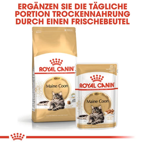 Royal Canin Maine Coon Adult Wet - Katzenfutter 5 Royal Canin Maine Coon Adult Wet - Katzenfutter - Image 5