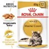 Royal Canin Maine Coon Adult Wet - Katzenfutter