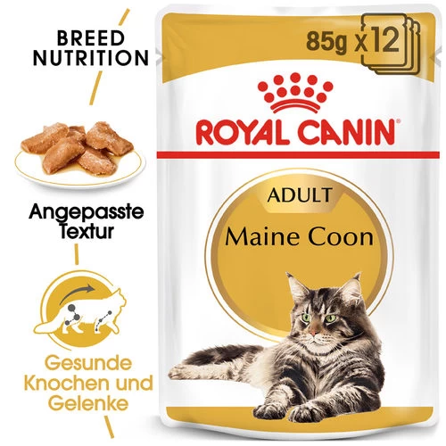 Royal Canin Maine Coon Adult Wet - Katzenfutter 1 Royal Canin Maine Coon Adult Wet - Katzenfutter