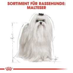 Royal Canin Maltese Adult - Hundefutter -Haustierprodukte royal canin maltese adult hondenvoer 139570 0500 none