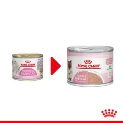 Royal Canin Mother & Babycat Ultra Soft Mousse - Katzenfutter