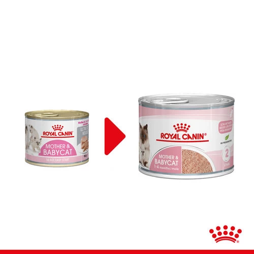 Royal Canin Mother & Babycat Ultra Soft Mousse - Katzenfutter 1 Royal Canin Mother & Babycat Ultra Soft Mousse - Katzenfutter