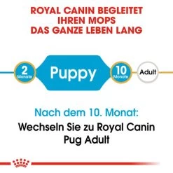 Royal Canin Pug Puppy - Hundefutter -Haustierprodukte royal canin pug puppy hondenvoer 139858 0500 none
