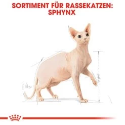 Royal Canin Sphynx Adult - Katzenfutter 14 Royal Canin Sphynx Adult - Katzenfutter -Haustierprodukte royal canin sphynx adult kattenvoer 125438 0500 none