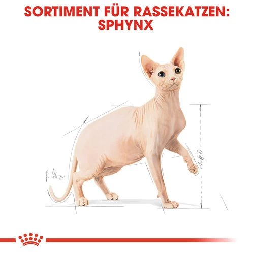 Royal Canin Sphynx Adult - Katzenfutter 6 Royal Canin Sphynx Adult - Katzenfutter - Image 6