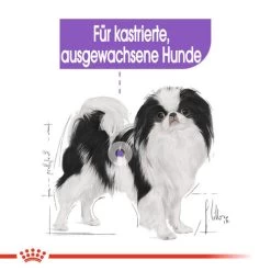 Royal Canin X-Small Sterilised - Hundefutter -Haustierprodukte royal canin x small sterilised hondenvoer 143393 0500 none