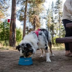 Ruffwear Bivy Bowl -Haustierprodukte ruffwear bivy bowl 204698 0500 none