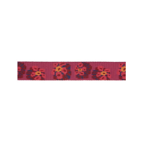 Ruffwear Flat Out Dog Collar - Alpenglow Burst 2 Ruffwear Flat Out Dog Collar - Alpenglow Burst - Image 2