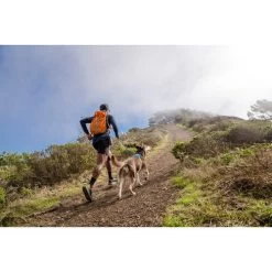 Ruffwear Hi & Light Harness -Haustierprodukte ruffwear hi light harness 196016 0500 none