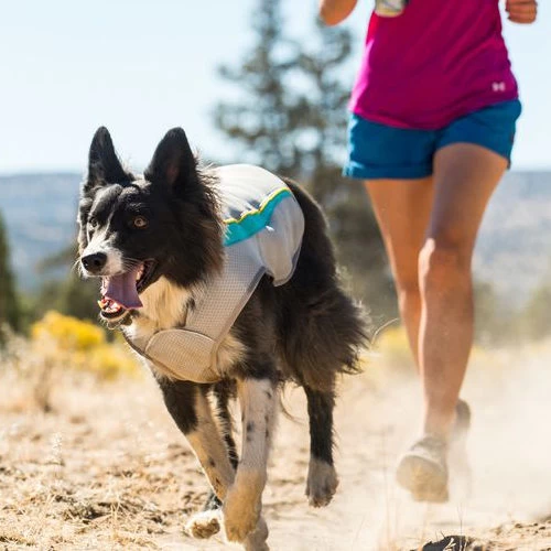 Ruffwear Swamp Cooler 8 Ruffwear Swamp Cooler - Image 8