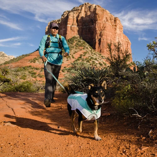 Ruffwear Swamp Cooler 7 Ruffwear Swamp Cooler - Image 7