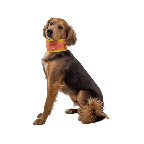 Ruffwear Swamp Cooler Neck Gaiter 4 Ruffwear Swamp Cooler Neck Gaiter - Image 4