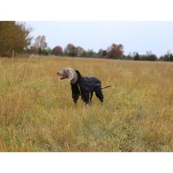 RukkaPets Protect Overall 7 RukkaPets Protect Overall -Haustierprodukte rukkapets protect overall zwart 216401 0500 none