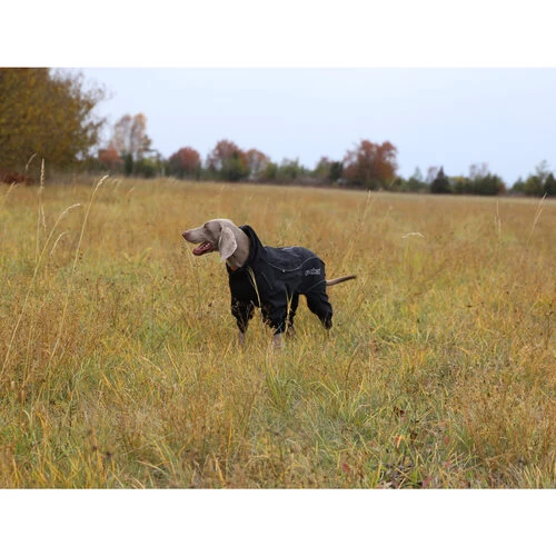 RukkaPets Protect Overall 3 RukkaPets Protect Overall - Image 3