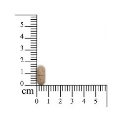 Monoderma Dry Hunde 5 Monoderma Dry Hunde -Haustierprodukte sensipharm monoderma dry hond 174694 0500 none