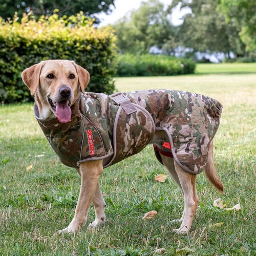 Siccaro Spirit 2.0 2 Siccaro Spirit 2.0 - Image 2