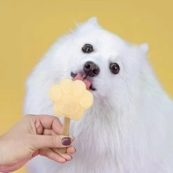 Smoofl Hundeeis Starter Kit 17 Smoofl Hundeeis Starter Kit -Haustierprodukte smoofl dog ice starter kit 195155 0500 none