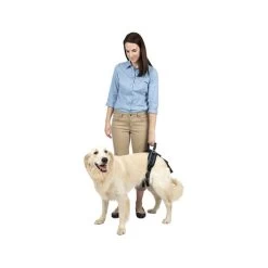 PetSafe Carelift - Tragesystem / Tragegeschirr Für Hunde -Haustierprodukte solvit carelift draagsysteem voor de hond 163702 0500 none