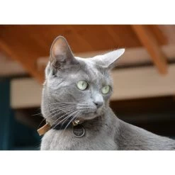 Spotted! Pro Dog & Cat 6 Spotted! Pro Dog & Cat -Haustierprodukte spotted pro dog cat 166915 0500 none