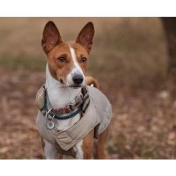 Spotted! Pro Dog & Cat 7 Spotted! Pro Dog & Cat -Haustierprodukte spotted pro dog cat 166918 0500 none