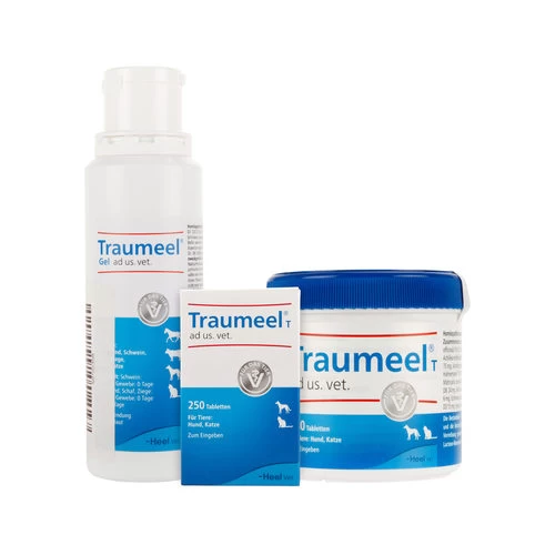 Traumeel T 1 Traumeel T