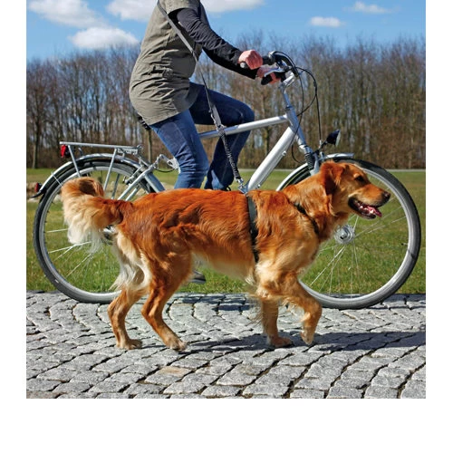 Trixie Fahrrad- Und Joggingleine 1 Trixie Fahrrad- Und Joggingleine