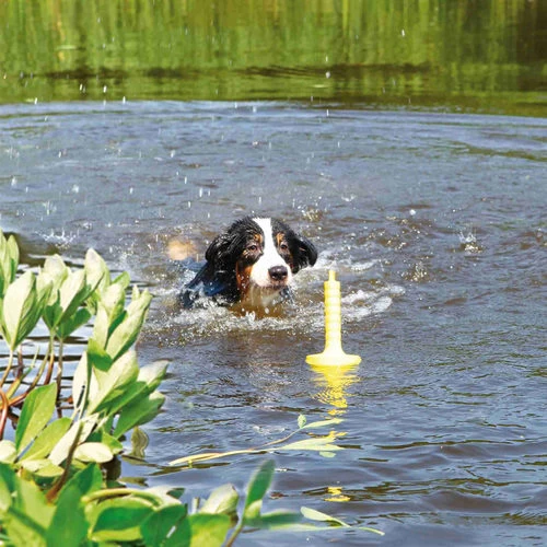 Trixie Dog Activity MOT-Aqua 2 Trixie Dog Activity MOT-Aqua - Image 2