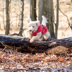 Trixie Regenjacke Vimy 14 Trixie Regenjacke Vimy -Haustierprodukte trixie regenjas vimy 204857 0500 none