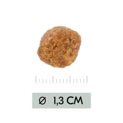 Vetality Metabolic & Mobility - Hundefutter -Haustierprodukte vetality metabolic mobility hondenvoer 195470 0500 none