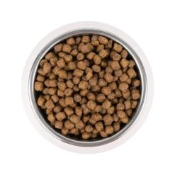Vetality Puppy Medium - Hundefutter -Haustierprodukte vetality puppy medium hondenvoer 213671 0500 none