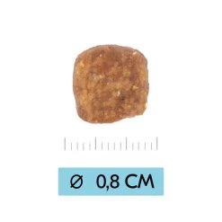 Vetality Puppy Medium - Hundefutter -Haustierprodukte vetality puppy medium hondenvoer 213674 0500 none