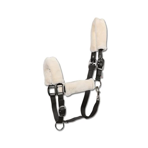 Waldhausen Halfter Fluffy 1 Waldhausen Halfter Fluffy