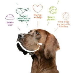 Yarrah - Trockenfutter Sensitiv Mit Huhn Und Reis Bio -Haustierprodukte yarrah droogvoer hond sensitive bio 199148 0500 none