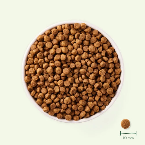 Yarrah - Trockenfutter Für Kleine Rassen Mit Huhn Bio – Bild 3