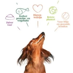 Yarrah - Hundefutter In Soße Huhn Mit Aloe Vera Bio -Haustierprodukte yarrah natvoer hond kuipje chunks met kip bio 201032 0500 none