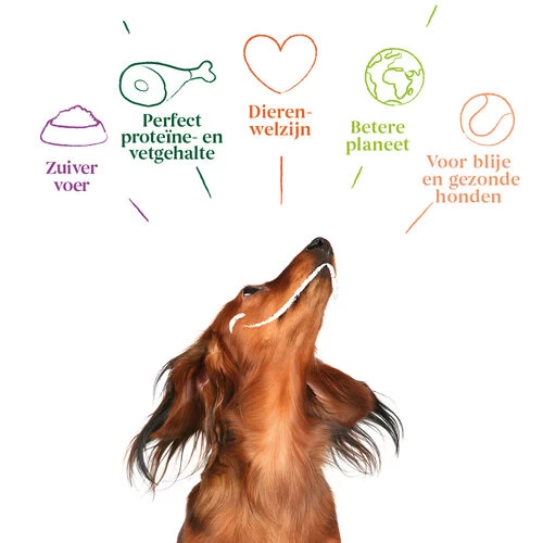 Yarrah - Hundefutter In Soße Huhn Mit Aloe Vera Bio – Bild 5