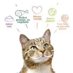 Yarrah - Katzenfutter Paté Rind Mit Chicorée Bio 9 Yarrah - Katzenfutter Paté Rind Mit Chicorée Bio -Haustierprodukte yarrah pat kat kuipje met rund bio 201059 0500 none