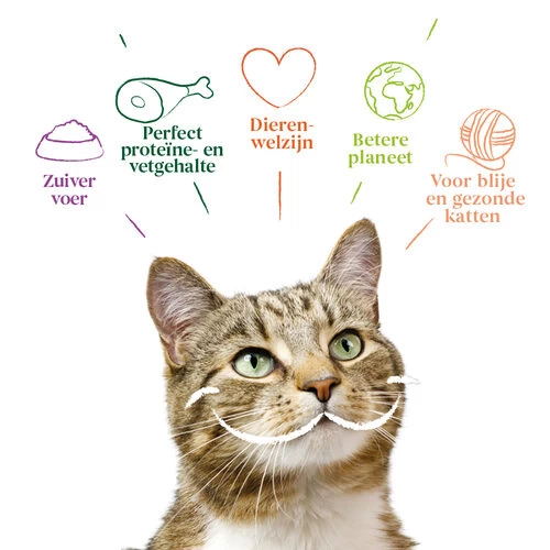 Yarrah - Katzenfutter Paté Rind Mit Chicorée Bio 5 Yarrah - Katzenfutter Paté Rind Mit Chicorée Bio - Image 5