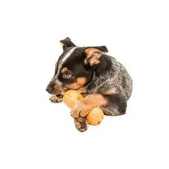 Zogoflex Qwizl 7 Zogoflex Qwizl -Haustierprodukte zogoflex qwizl 136852 0500 none