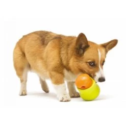 Zogoflex Toppl - Treat Toy -Haustierprodukte zogoflex toppl treat toy 219464 0500 none